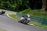 cadwell-no-limits-trackday;cadwell-park;cadwell-park-photographs;cadwell-trackday-photographs;enduro-digital-images;event-digital-images;eventdigitalimages;no-limits-trackdays;peter-wileman-photography;racing-digital-images;trackday-digital-images;trackday-photos